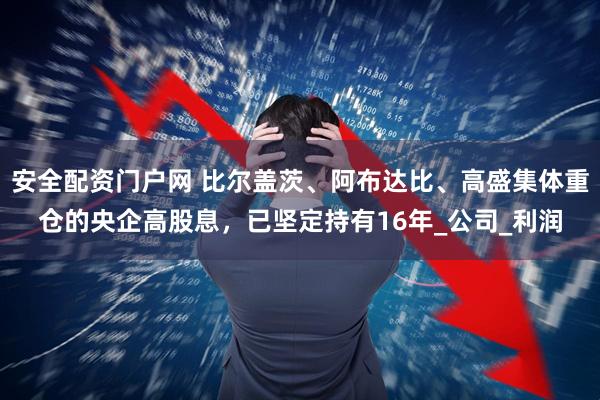 安全配资门户网 比尔盖茨、阿布达比、高盛集体重仓的央企高股息，已坚定持有16年_公司_利润