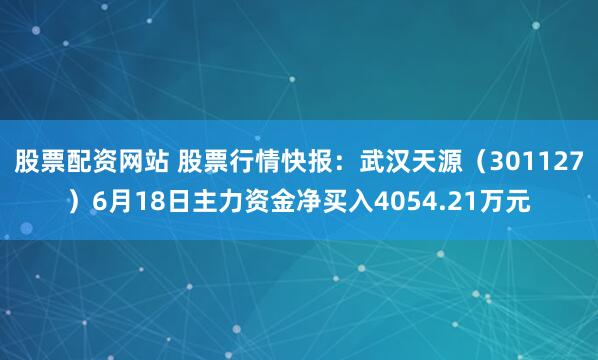 股票配资网站 股票行情快报：武汉天源（301127）6月18日主力资金净买入4054.21万元