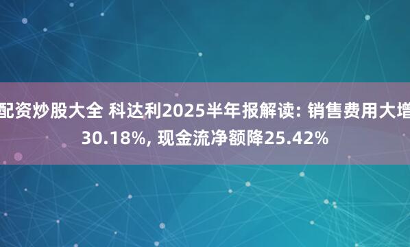 配资炒股大全 科达利2025半年报解读: 销售费用大增30.18%, 现金流净额降25.42%